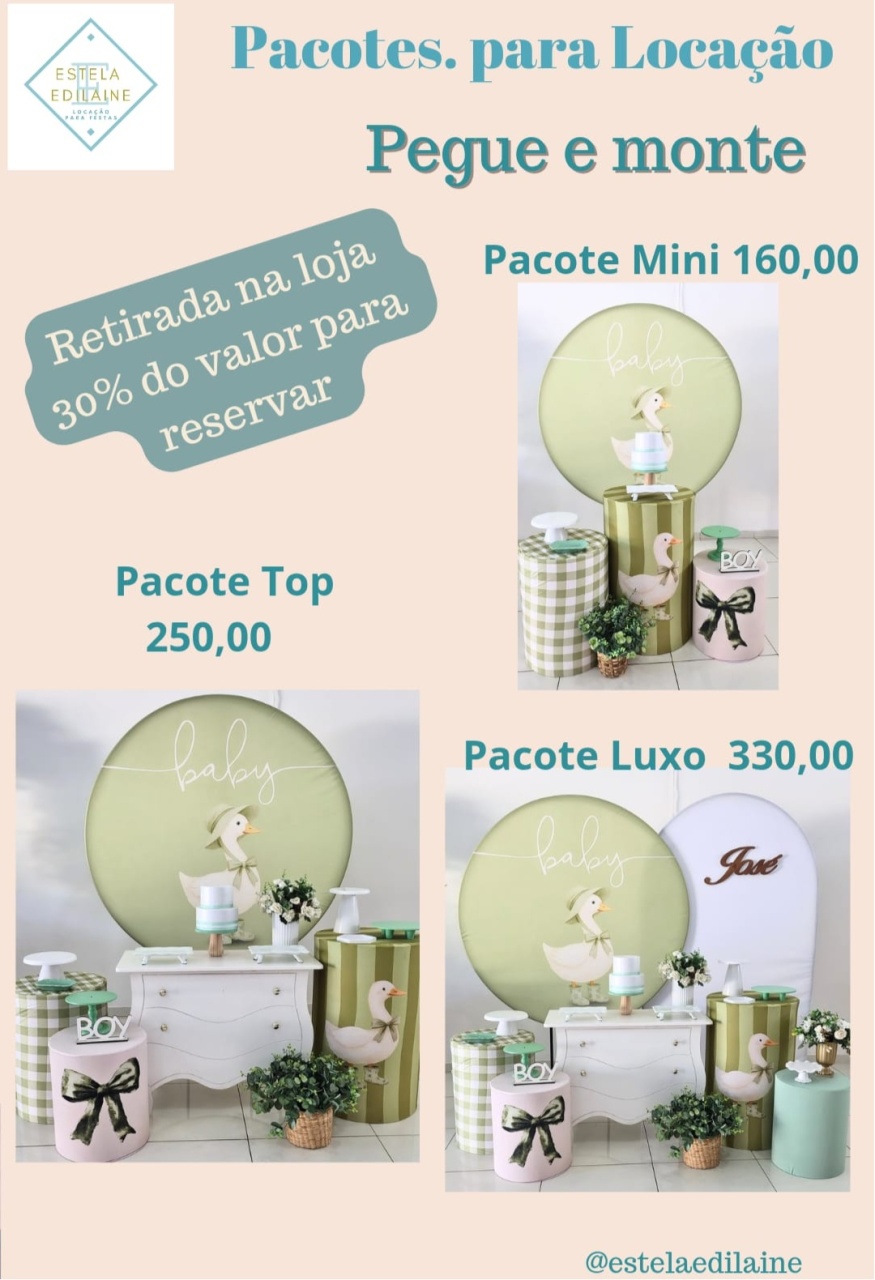 Patinho Verde 4 - Estela Edilaine Pegue e monte 