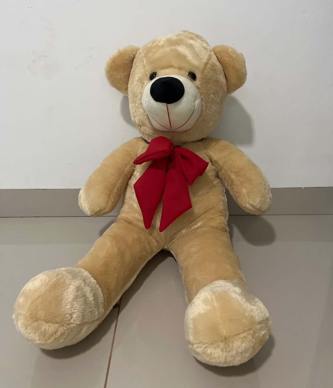 Urso - Pegue e Monte da Festeira pmw