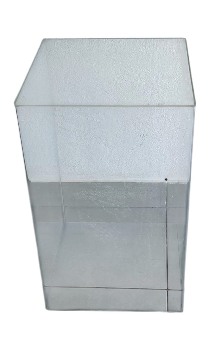 Cubo Acrílico Transparente M - Wanusa Nunes Andrade