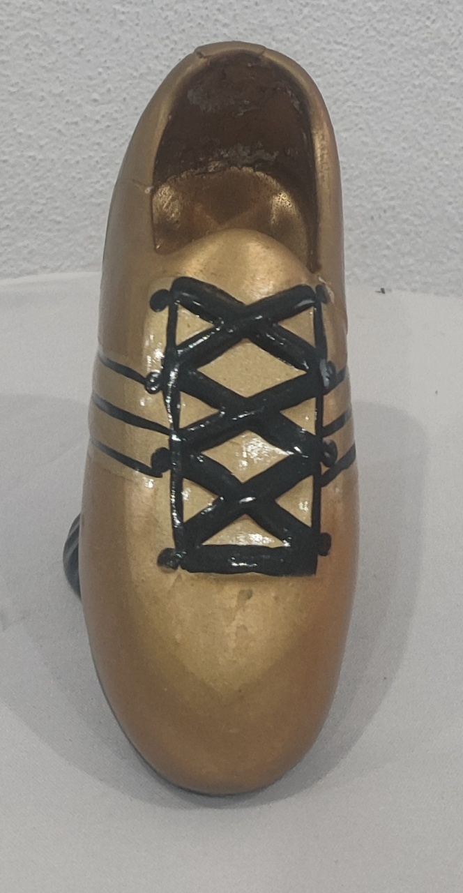 Chuteira Em Gesso - Wanusa Nunes Andrade