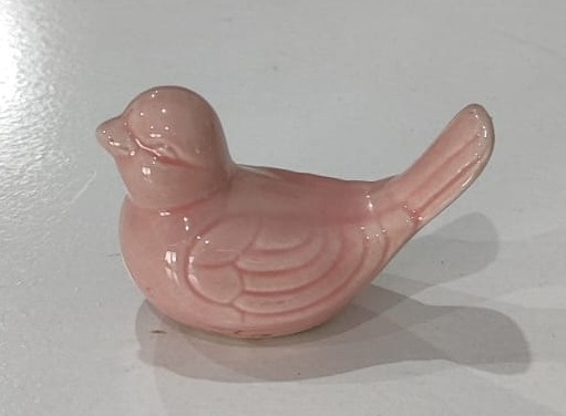 Passarinho P Rosa - Wanusa Nunes Andrade