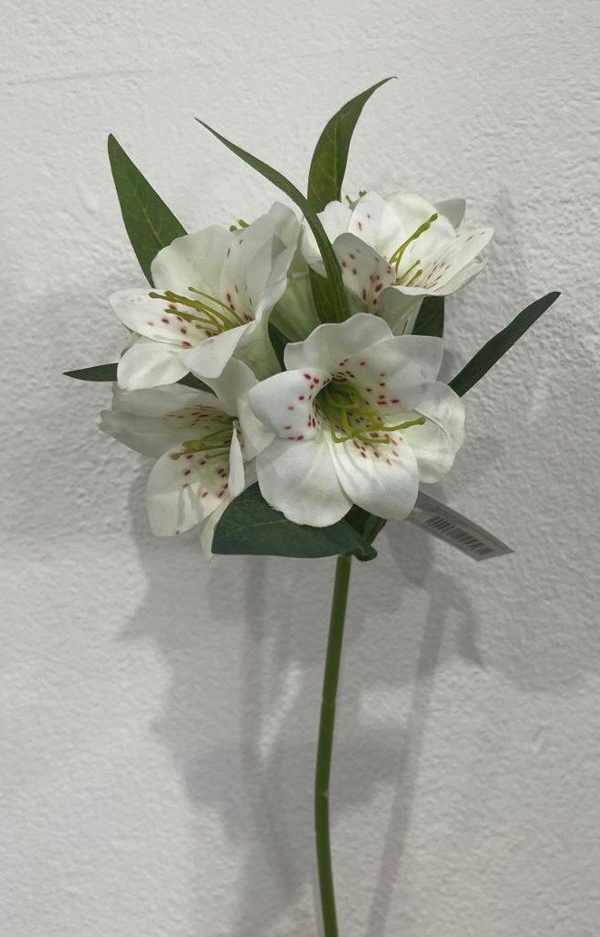 Flor Astromélia Branca - Wanusa Nunes Andrade