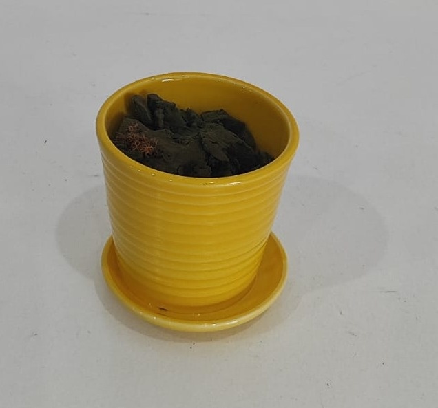 Vaso Prato Amarelo Claro 9Cm - Wanusa Nunes Andrade