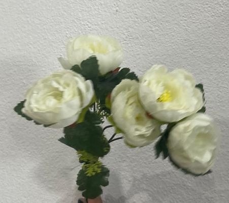 Buque Rosas Branca - Wanusa Nunes Andrade