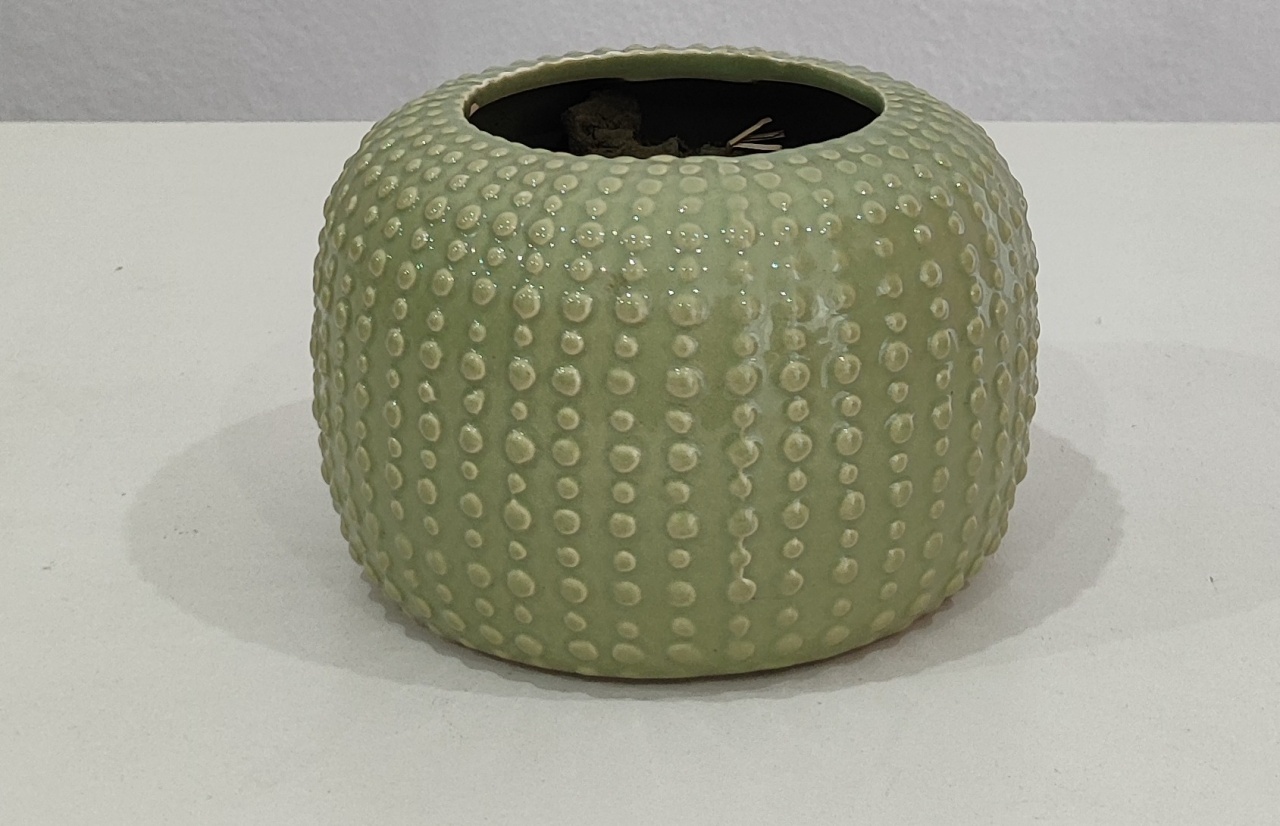 Vaso Arredondado Verde Bolinha M - Wanusa Nunes Andrade