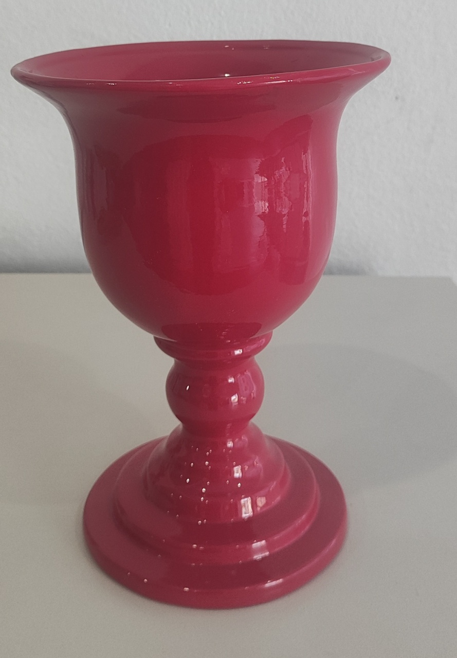 Vaso G Pink - Wanusa Nunes Andrade