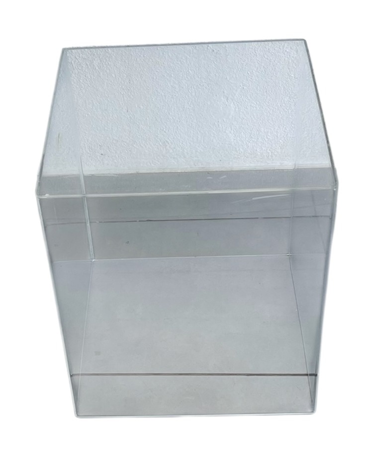 Cubo Acrílico Transparente P - Wanusa Nunes Andrade