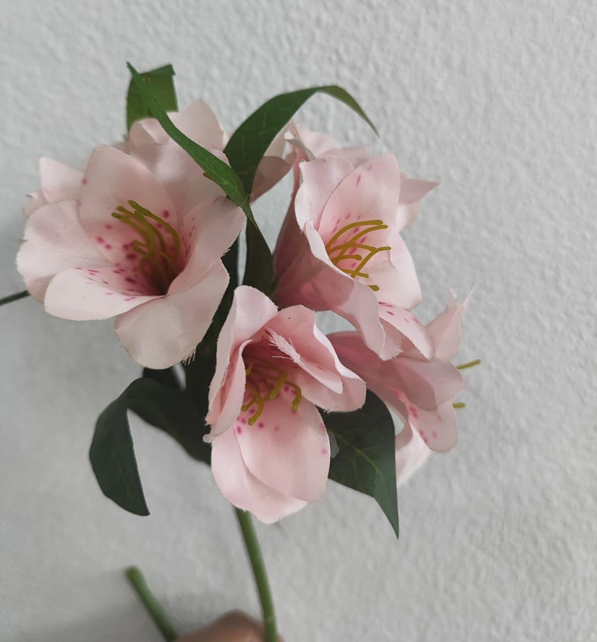 Flor Astromélia Rosa Claro - Wanusa Nunes Andrade