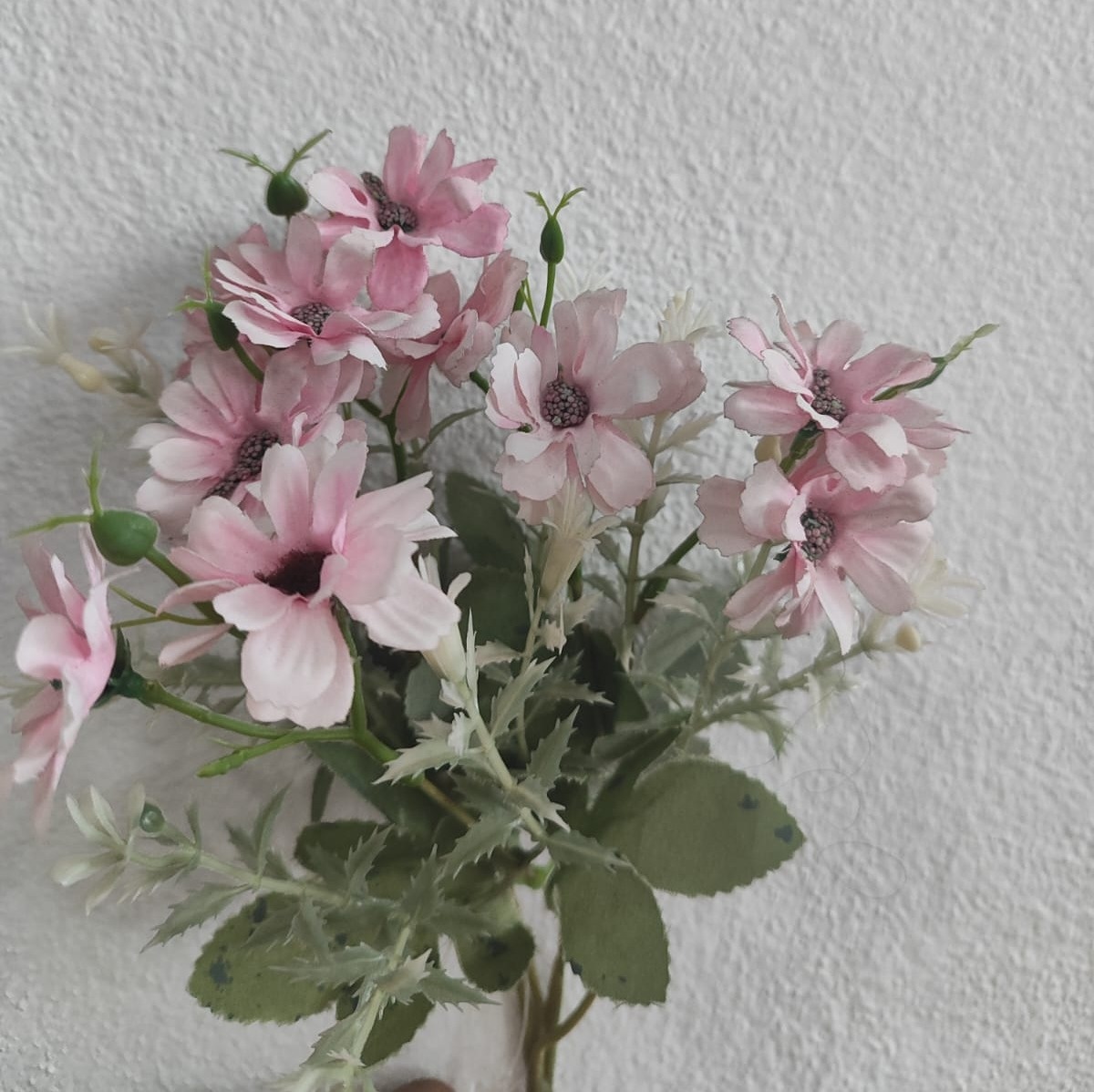Flor Margarida Rosa Claro  - Wanusa Nunes Andrade