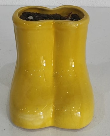 Botinha Piruliteira Amarelo - Wanusa Nunes Andrade