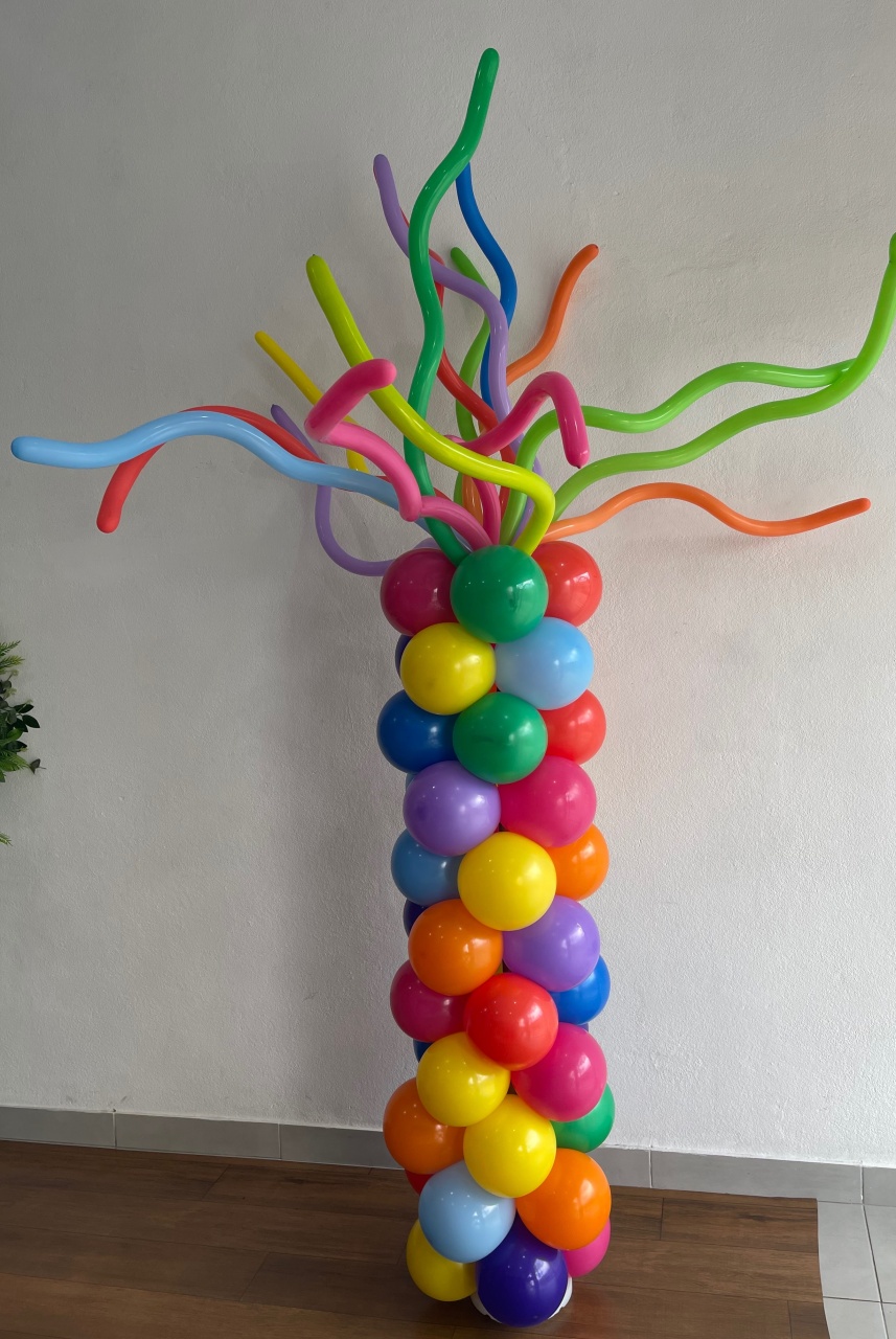 Coluna Balão Maluco - Wanusa Nunes Andrade