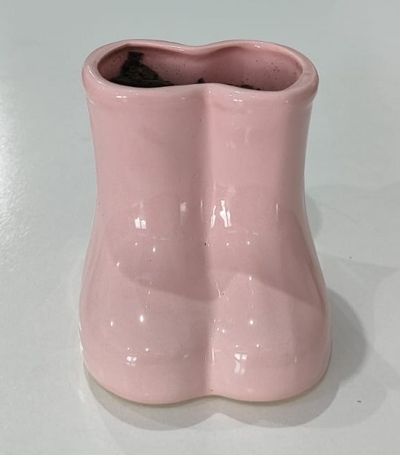 Botinha Piruliteiro Rosa - Wanusa Nunes Andrade