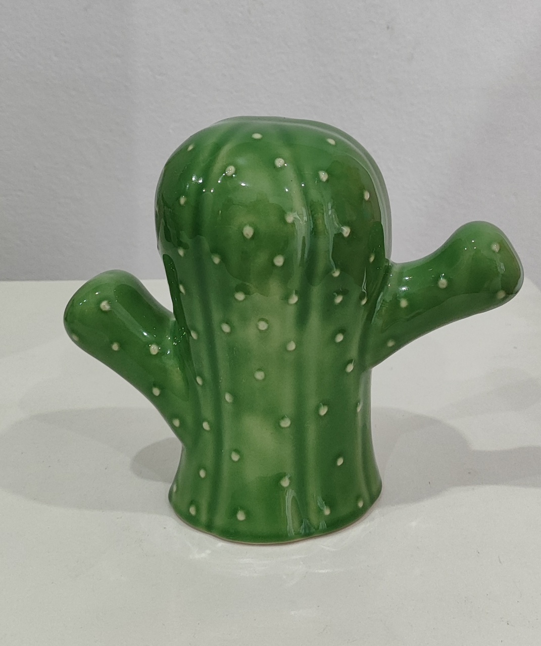 Cacto G Verde  - Wanusa Nunes Andrade