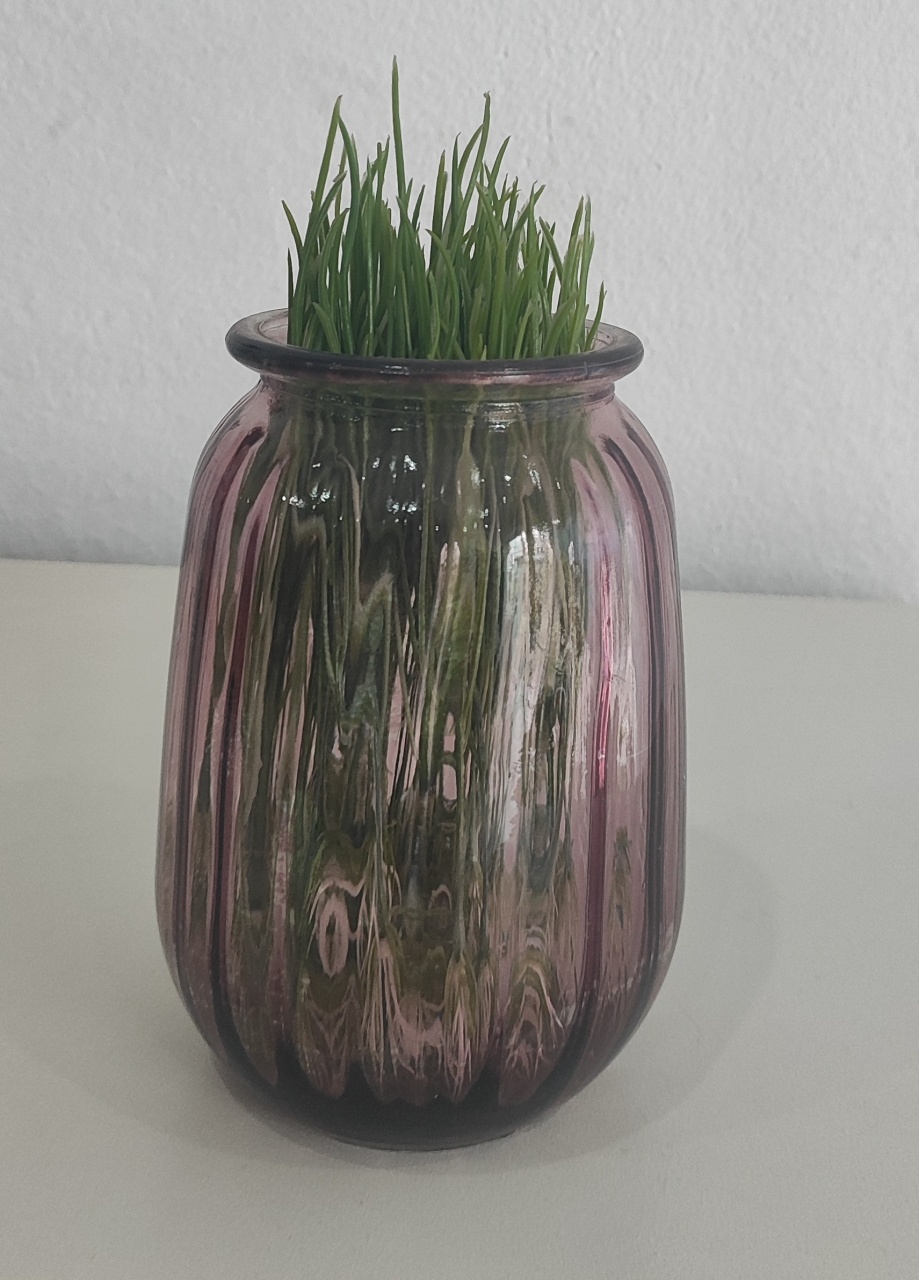 Vaso Lilás Transparente  - Wanusa Nunes Andrade