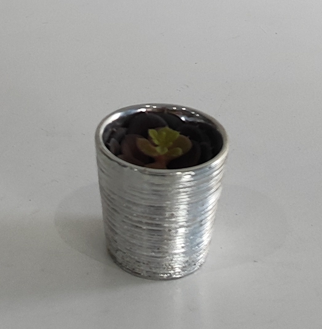 Vaso Mini Prata - Wanusa Nunes Andrade