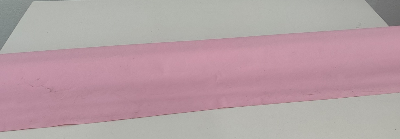 Tapete Corino Rosa - Wanusa Nunes Andrade