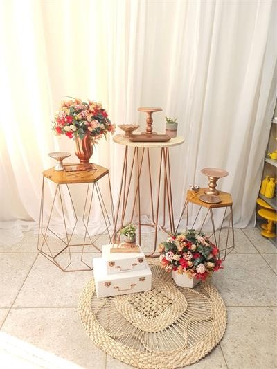 Kit Rose Com Cortina de Fundo - Nanda Pegue e Monte