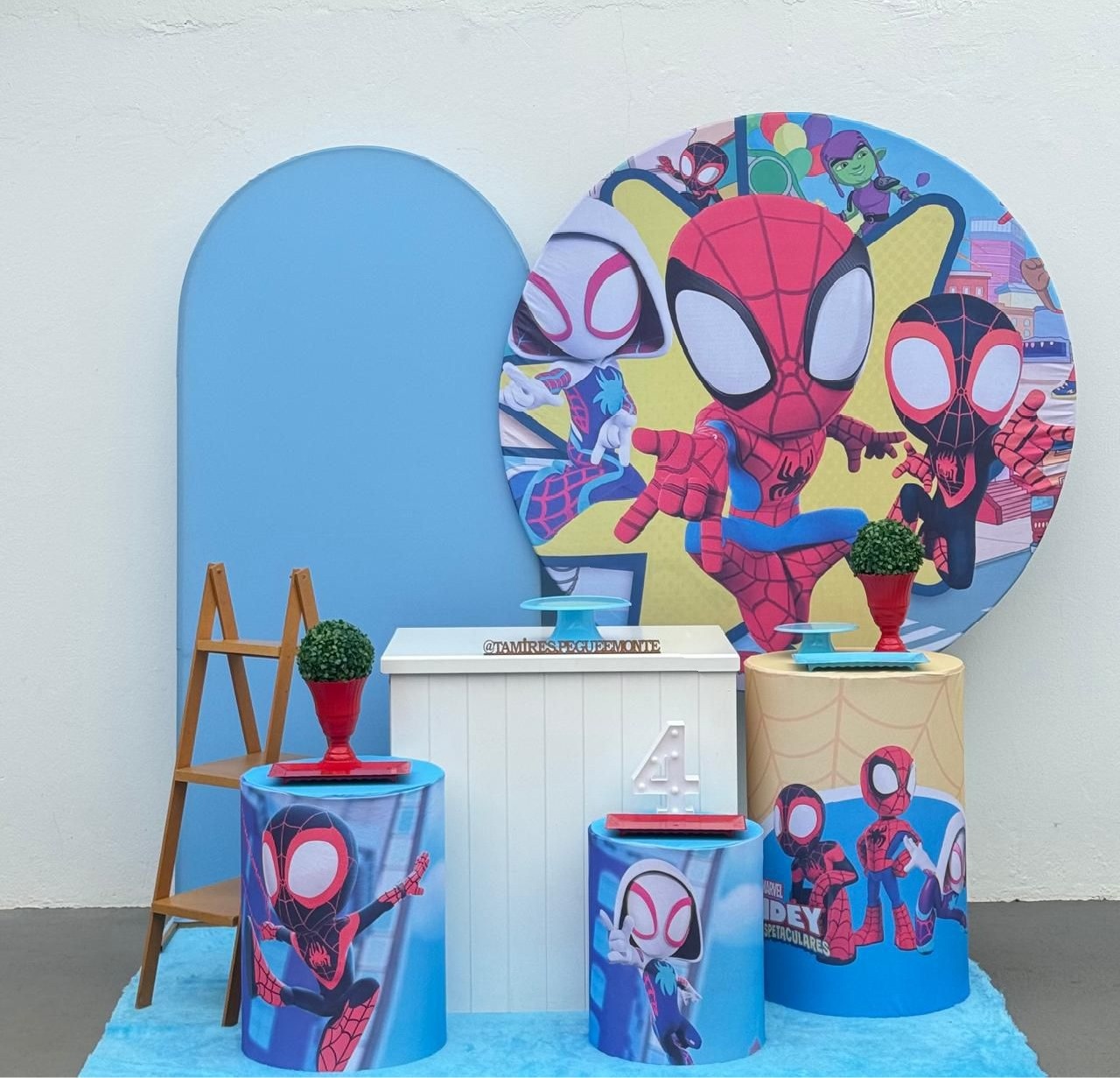 Spider E Seus Amigos - Kit 3 - tamirespegueemonte