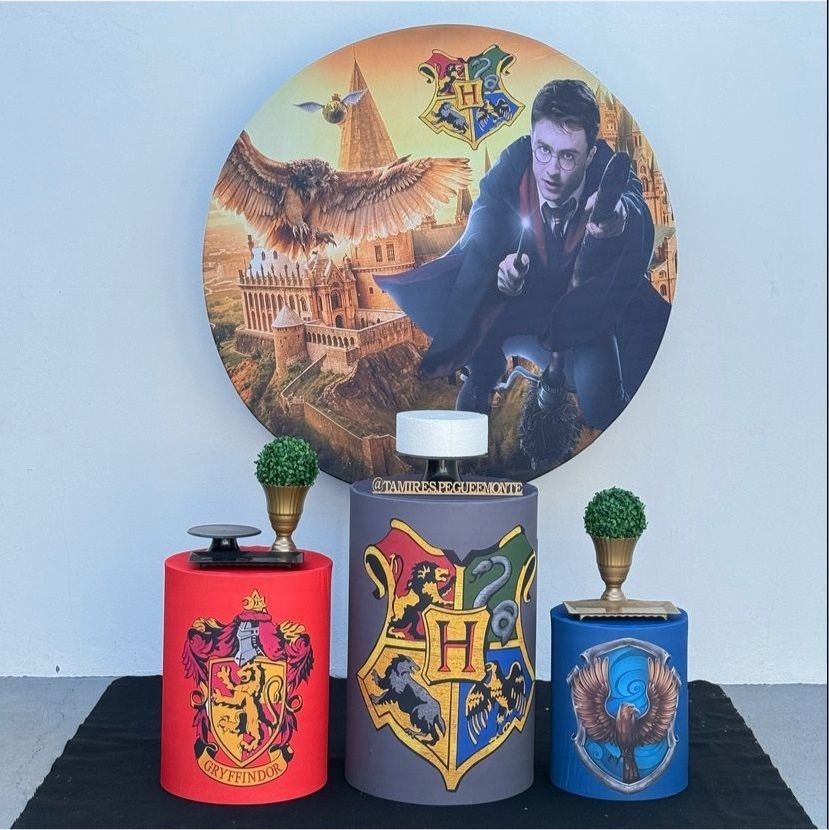Harry Potter Kit 1 - tamirespegueemonte