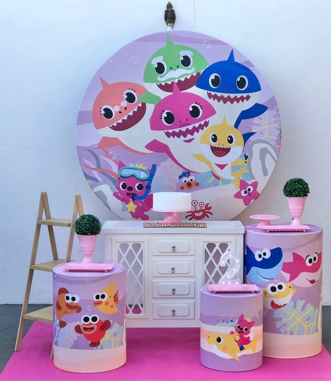 Baby Shark Menina Kit 2 - tamirespegueemonte