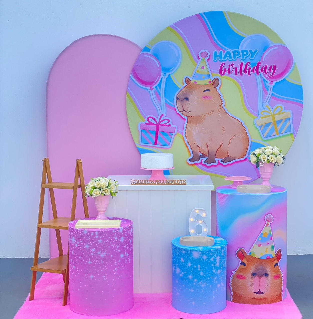 Capivara Kit 3 - tamirespegueemonte