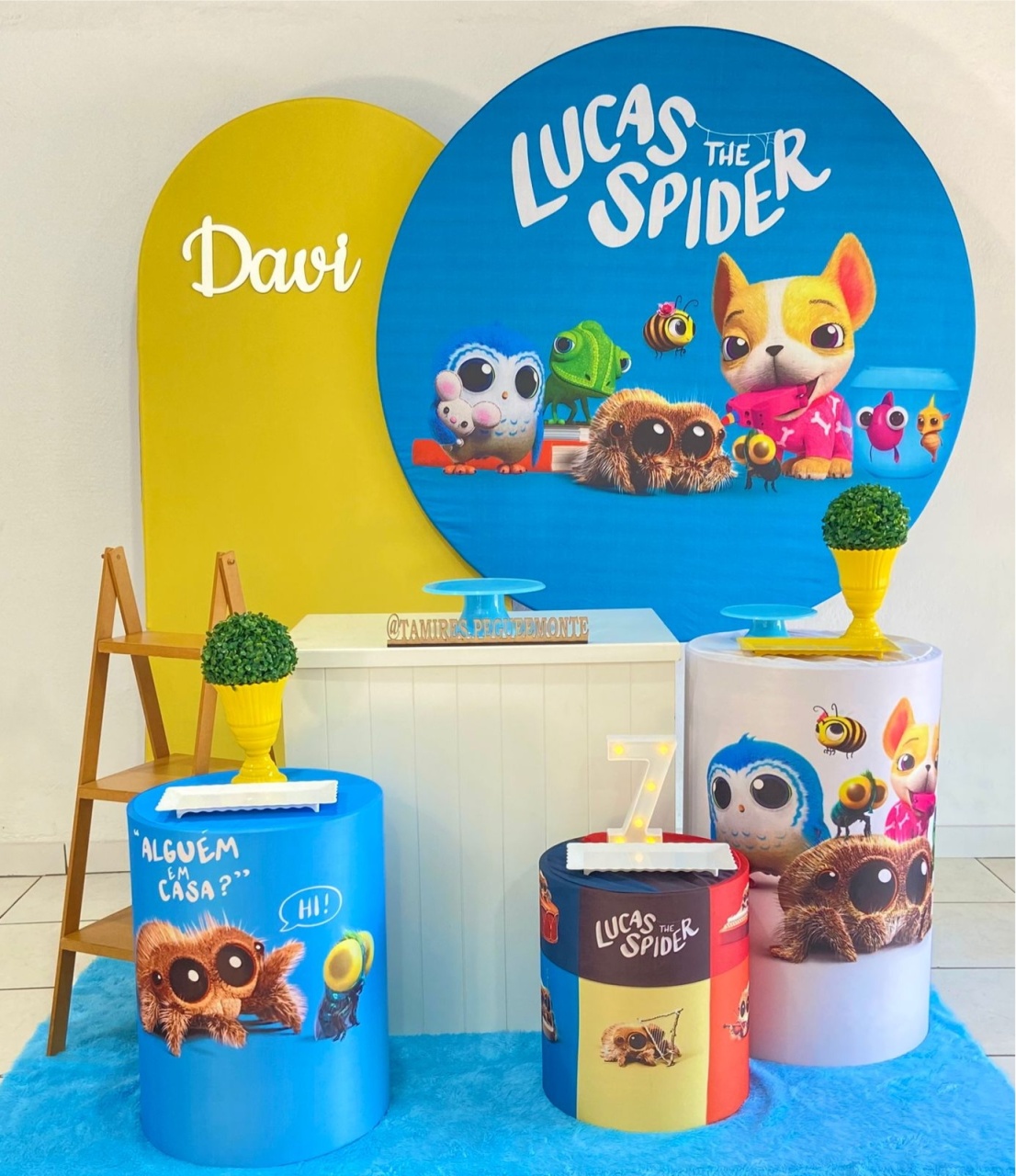 Lucas O Aranha Kit 3  - tamirespegueemonte