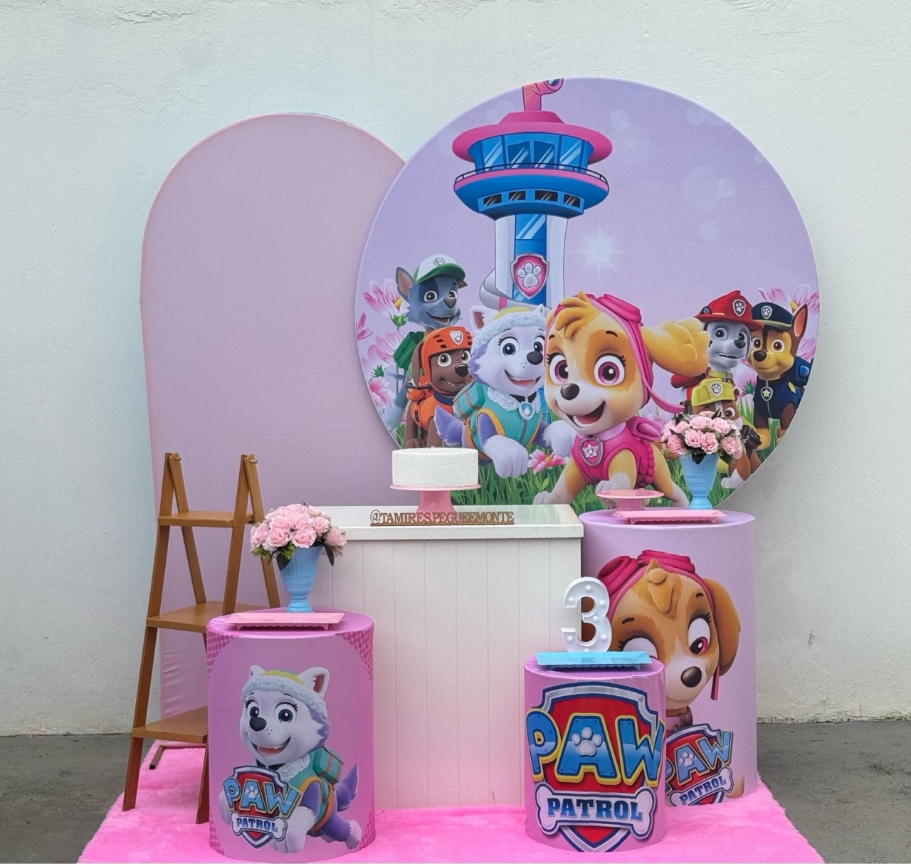 Patrulha Canina Menina 2 Kit 3 Romano Dupla Face Rosa Kendy - tamirespegueemonte