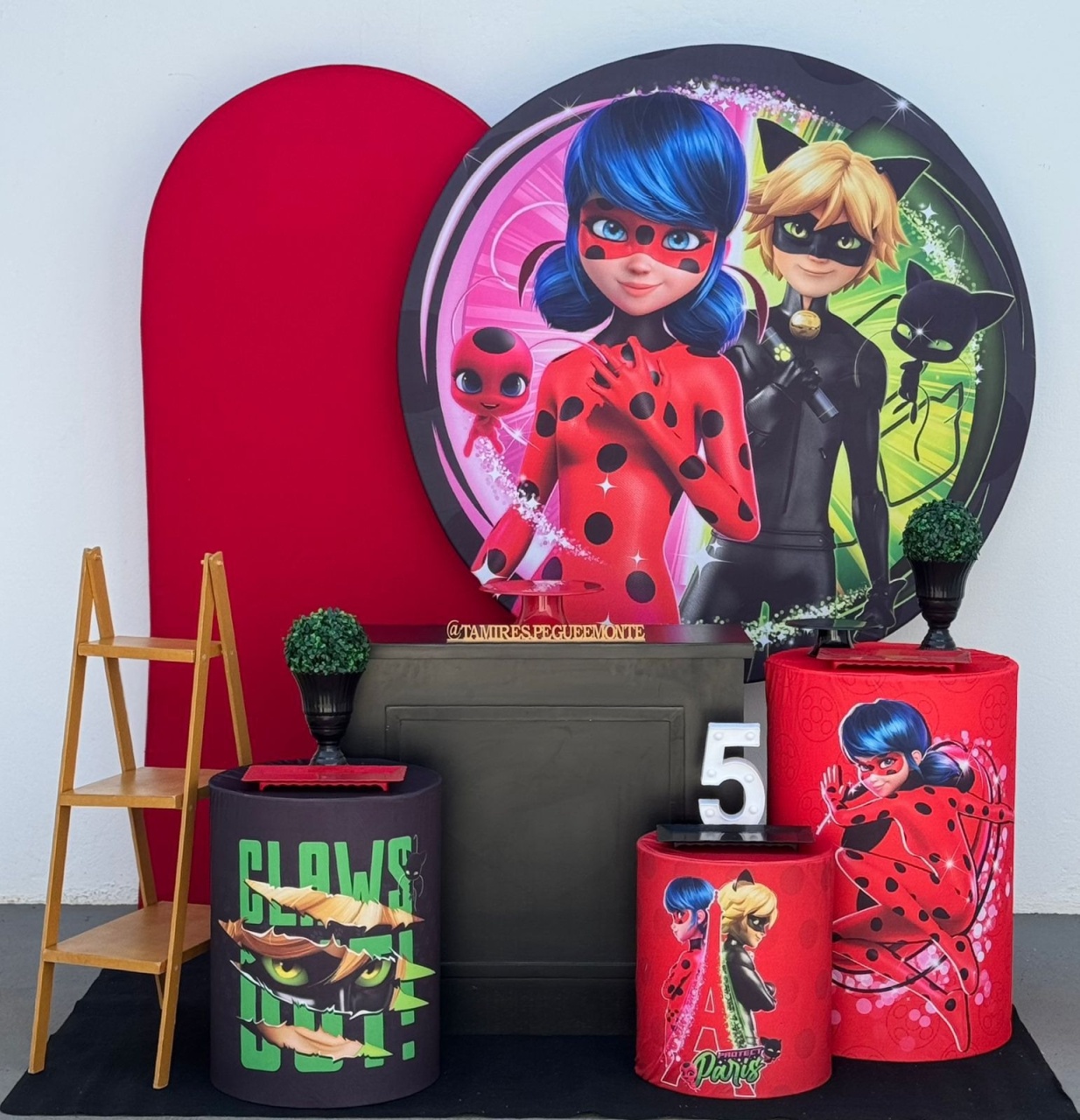 Lady Bug - Kit 3 - tamirespegueemonte