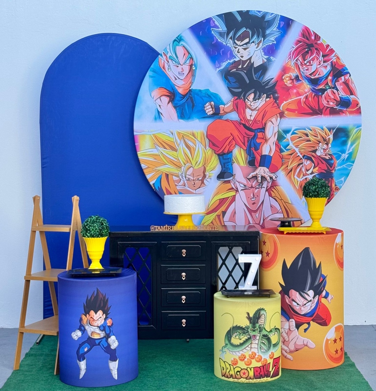 Dragon Ball - Kit 3 - tamirespegueemonte
