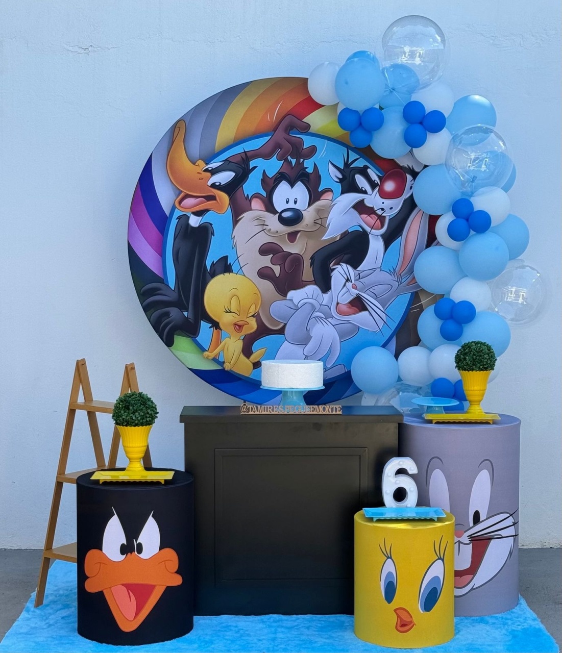 Looney Tunes - Kit 2 - tamirespegueemonte