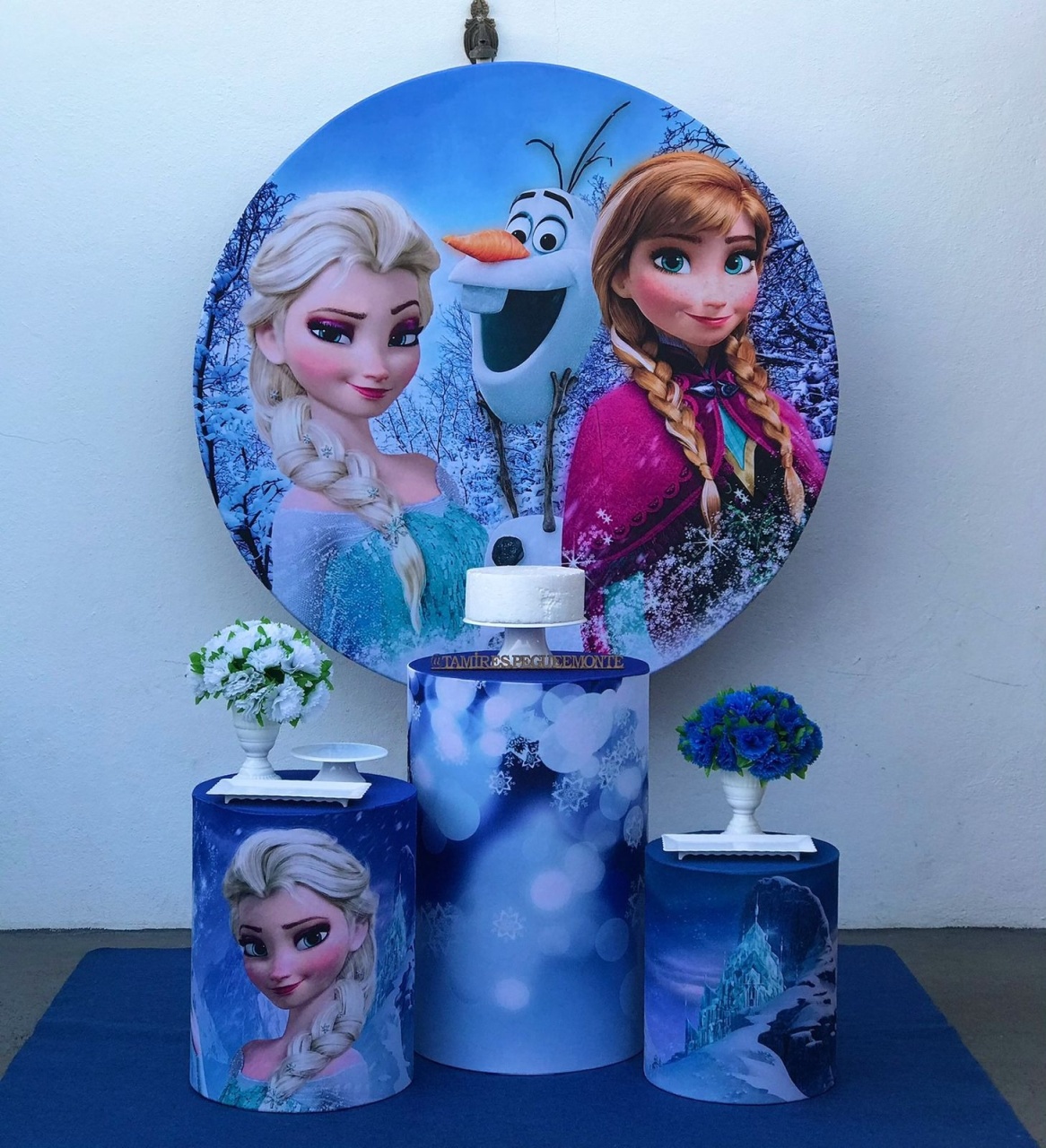 Frozen 1 Kit 1  - tamirespegueemonte