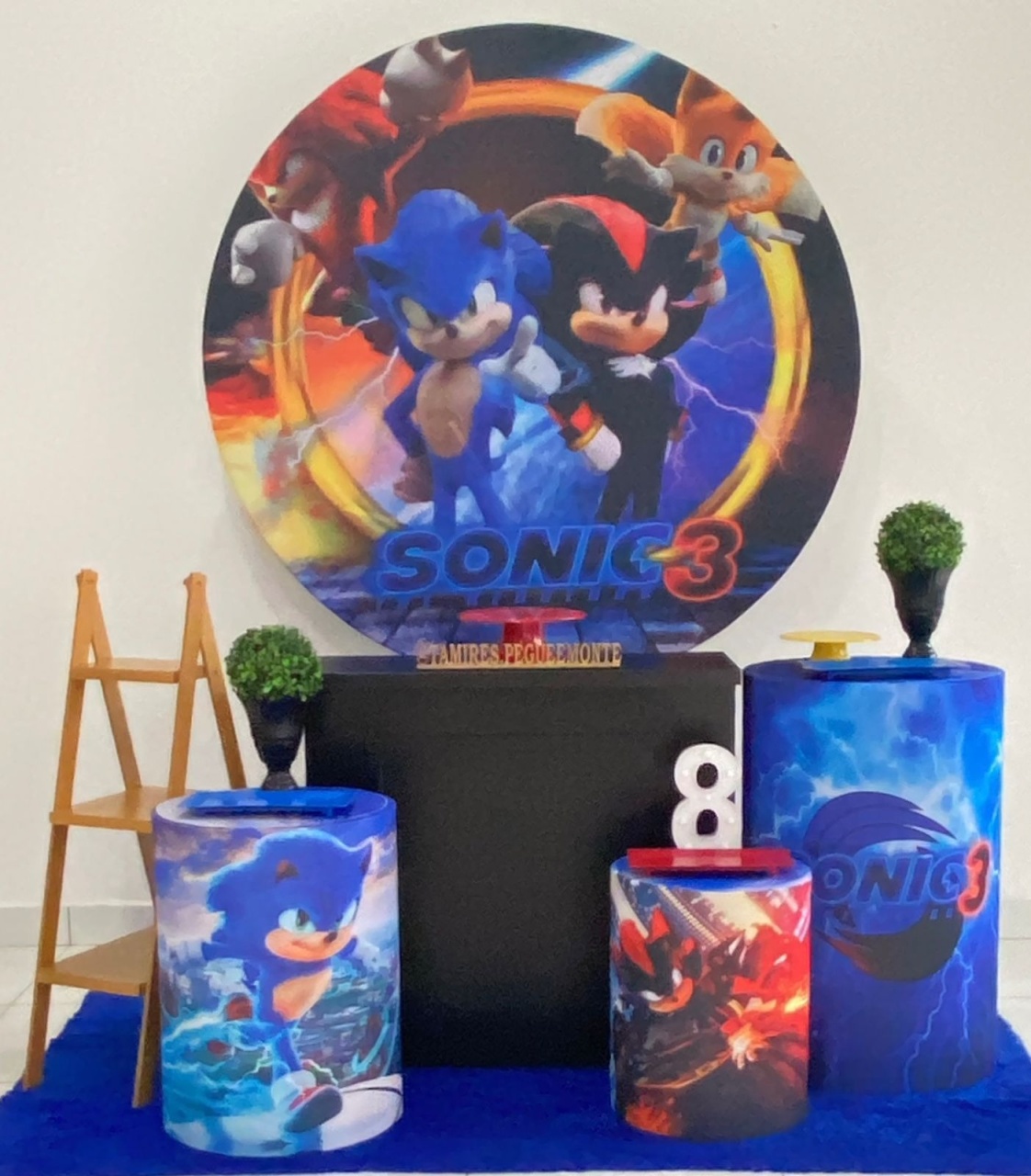 Sonic E Sheldom Kit 2 - tamirespegueemonte