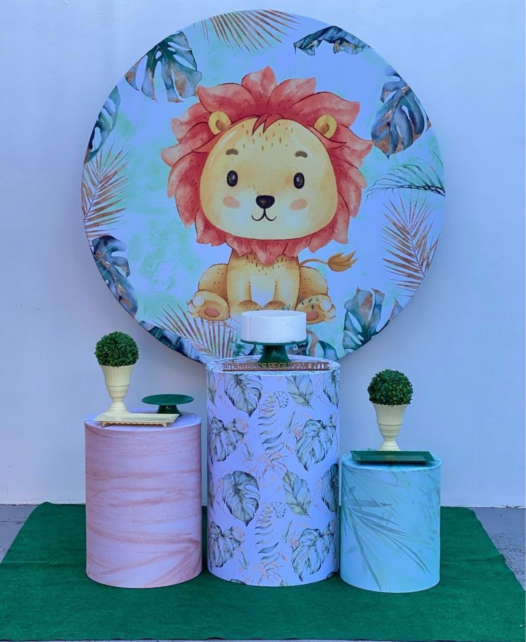 Leãozinho - Kit 1 - tamirespegueemonte