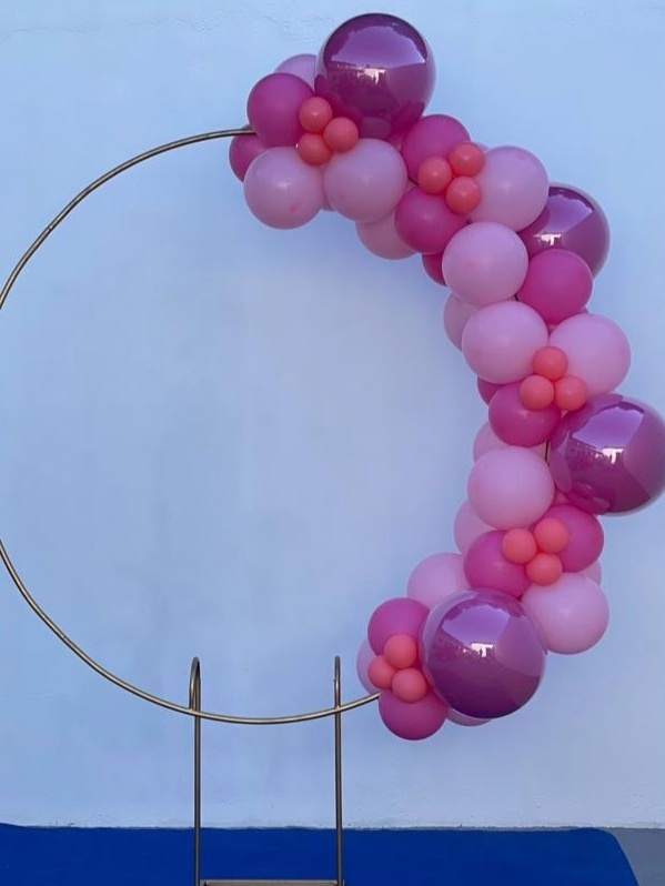Arco de Baloes Organico Rosa Pink 16, Rosa Baby 9, Rosa Forte 8, Rosa Blush 5 - tamirespegueemonte