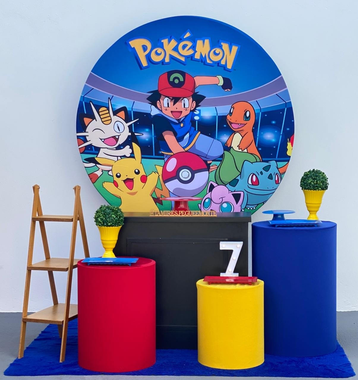 Pokémom 2 - Kit 2 - tamirespegueemonte