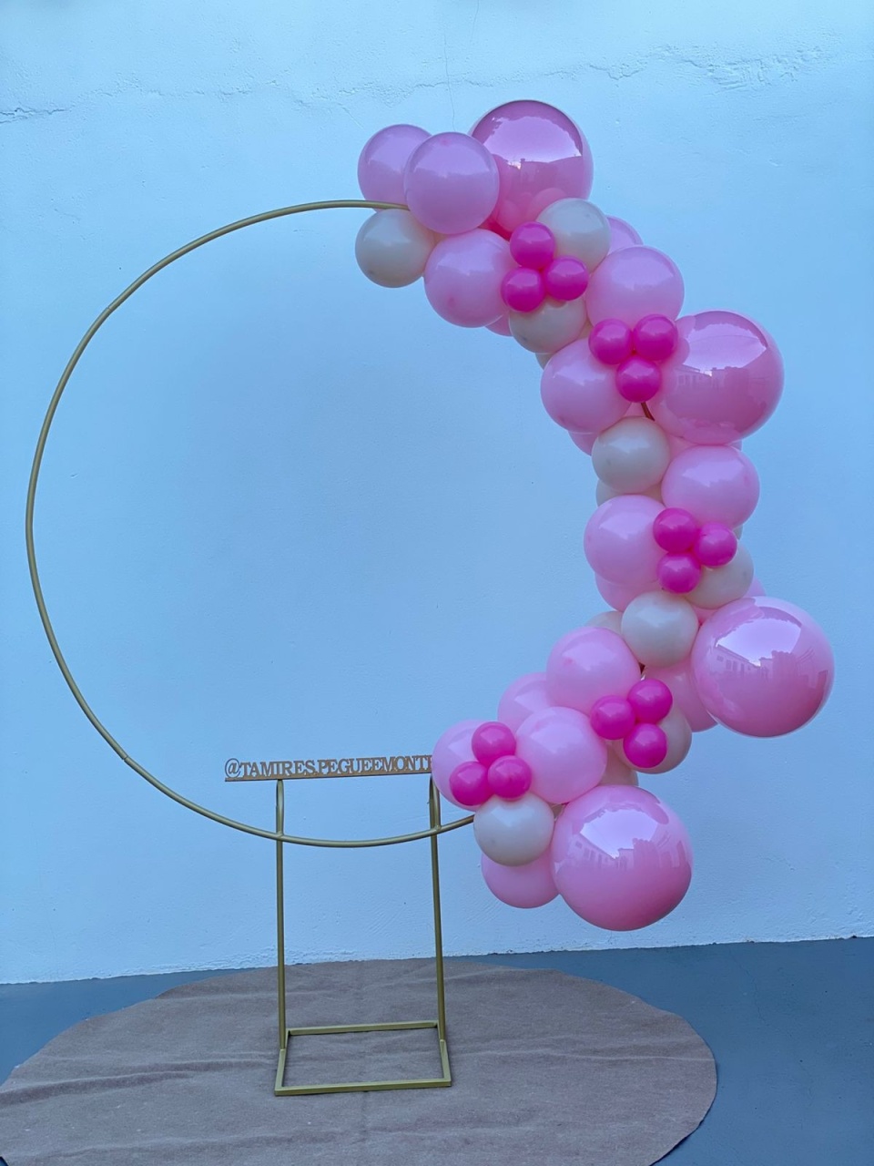 Arco de Balões Organico (16 E 9 Rosa Baby, 8 Nude E 5 Rosa Forte) Ana Castela, Capivara - tamirespegueemonte