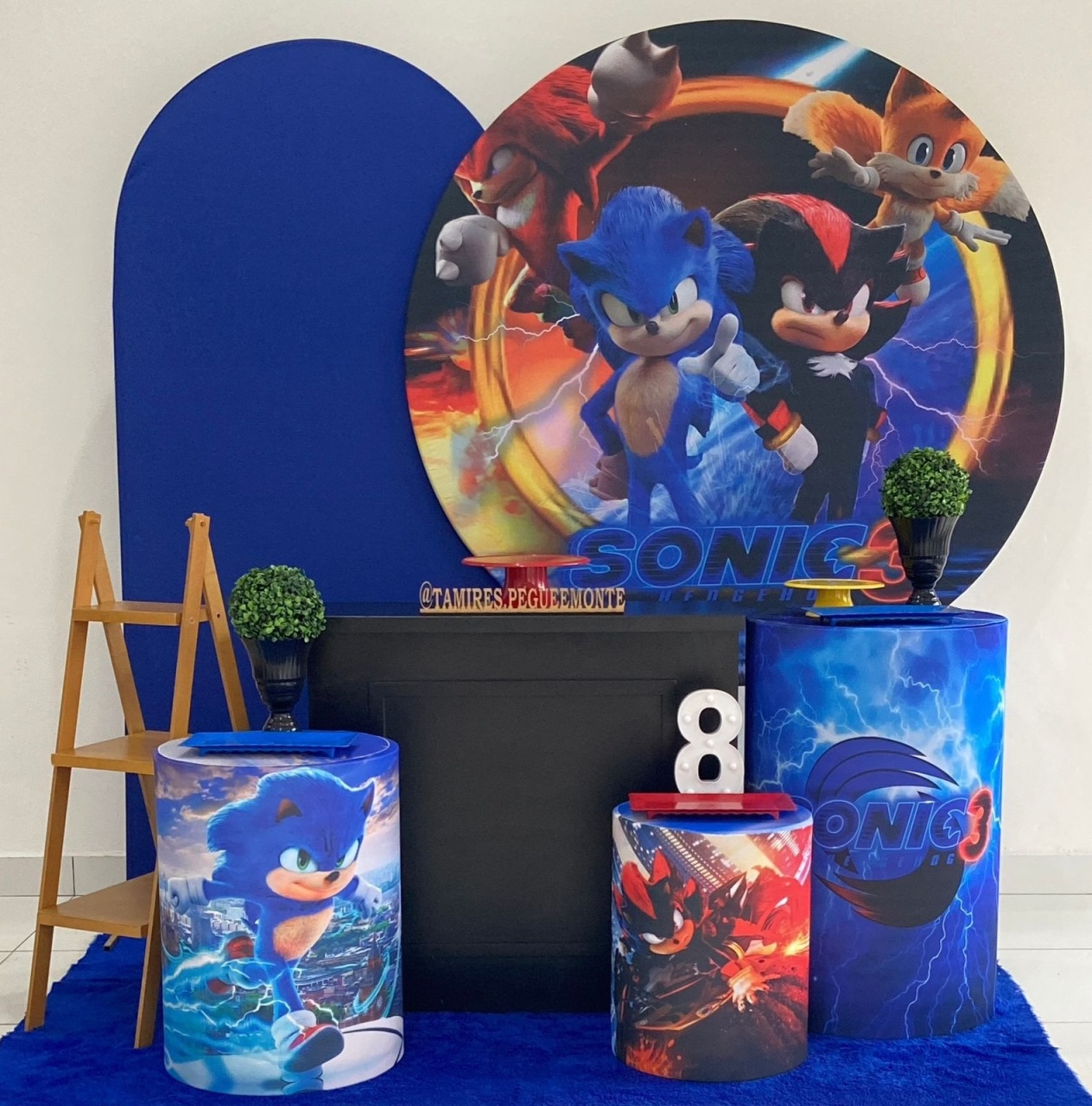 Sonic E Sheldom Kit 3  - tamirespegueemonte