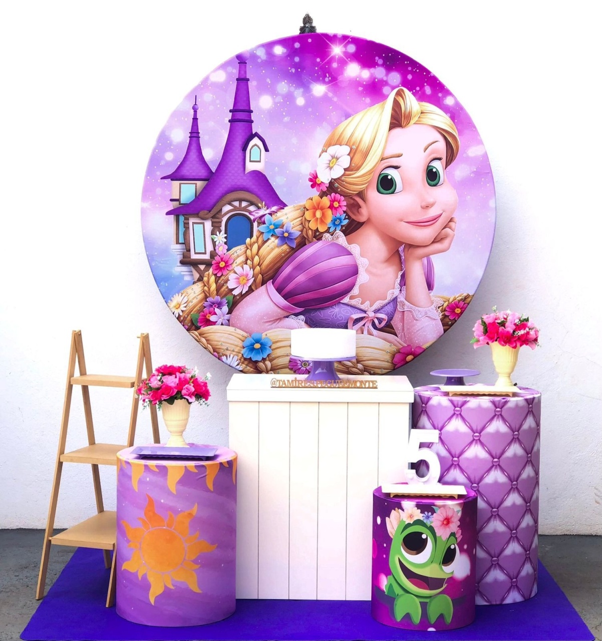 Rapunzel Kit 2   - tamirespegueemonte