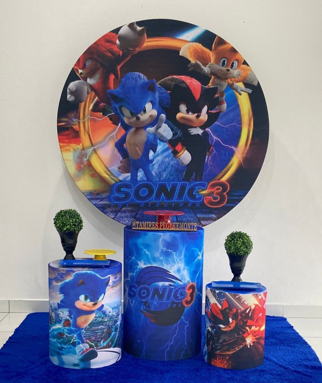Sonic E Sheldom Kit 1 - tamirespegueemonte