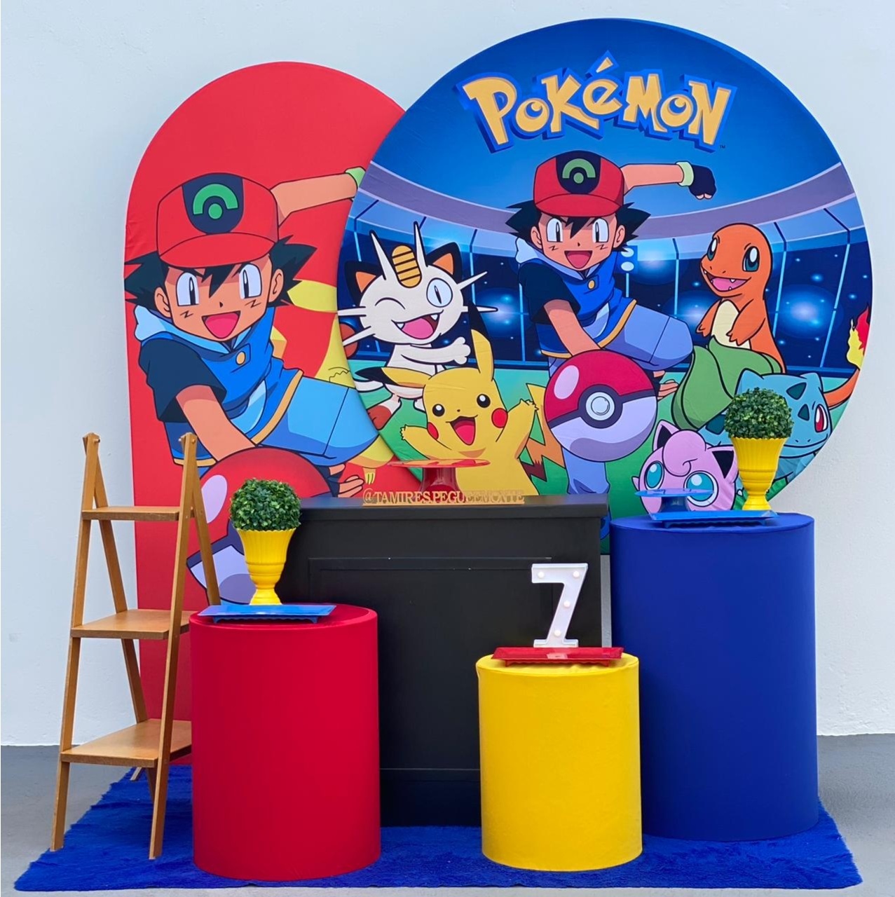 Pokémom 2- Kit 3 - tamirespegueemonte