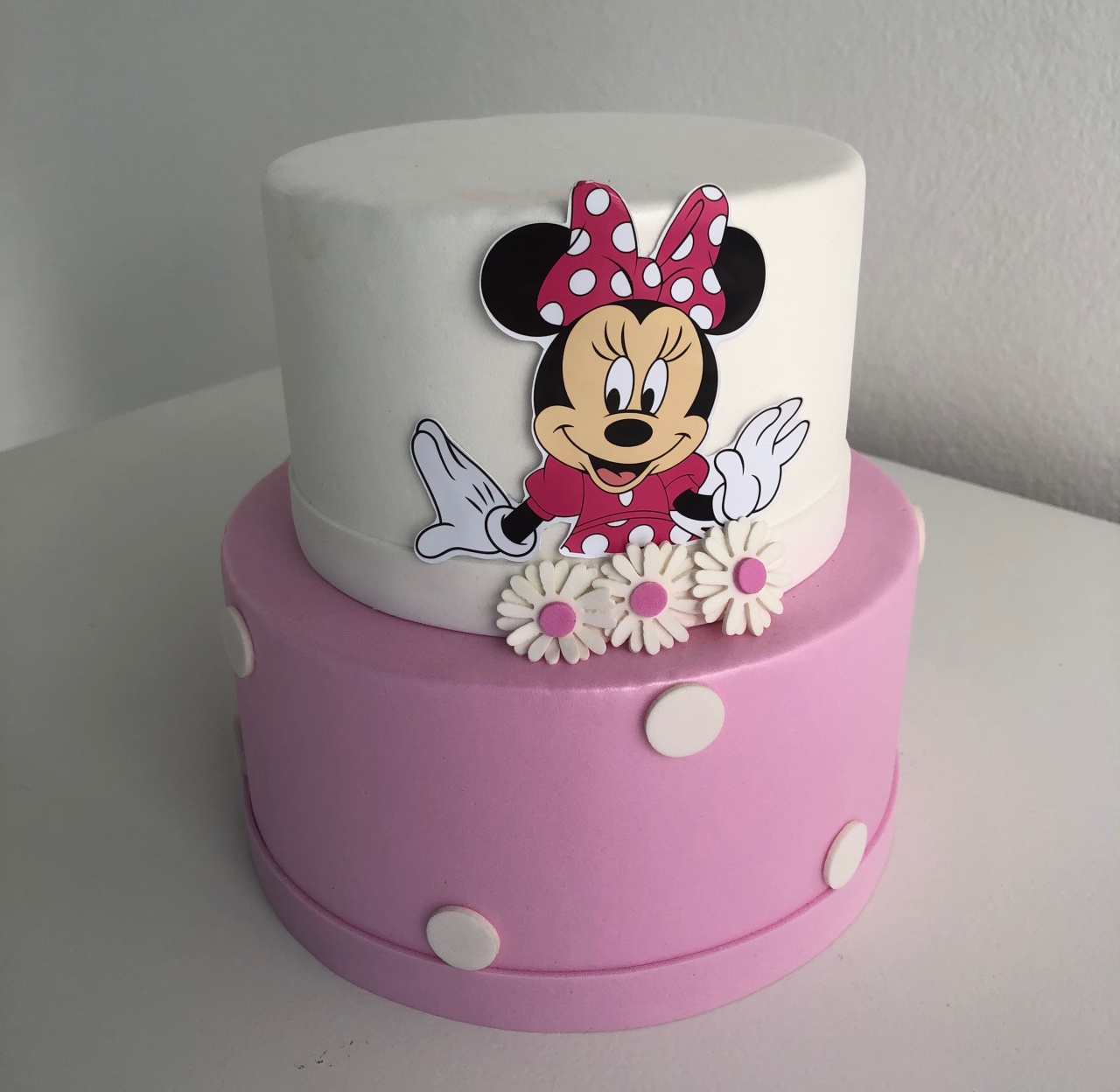 Bolo Fake - Minie Rosa - tamirespegueemonte