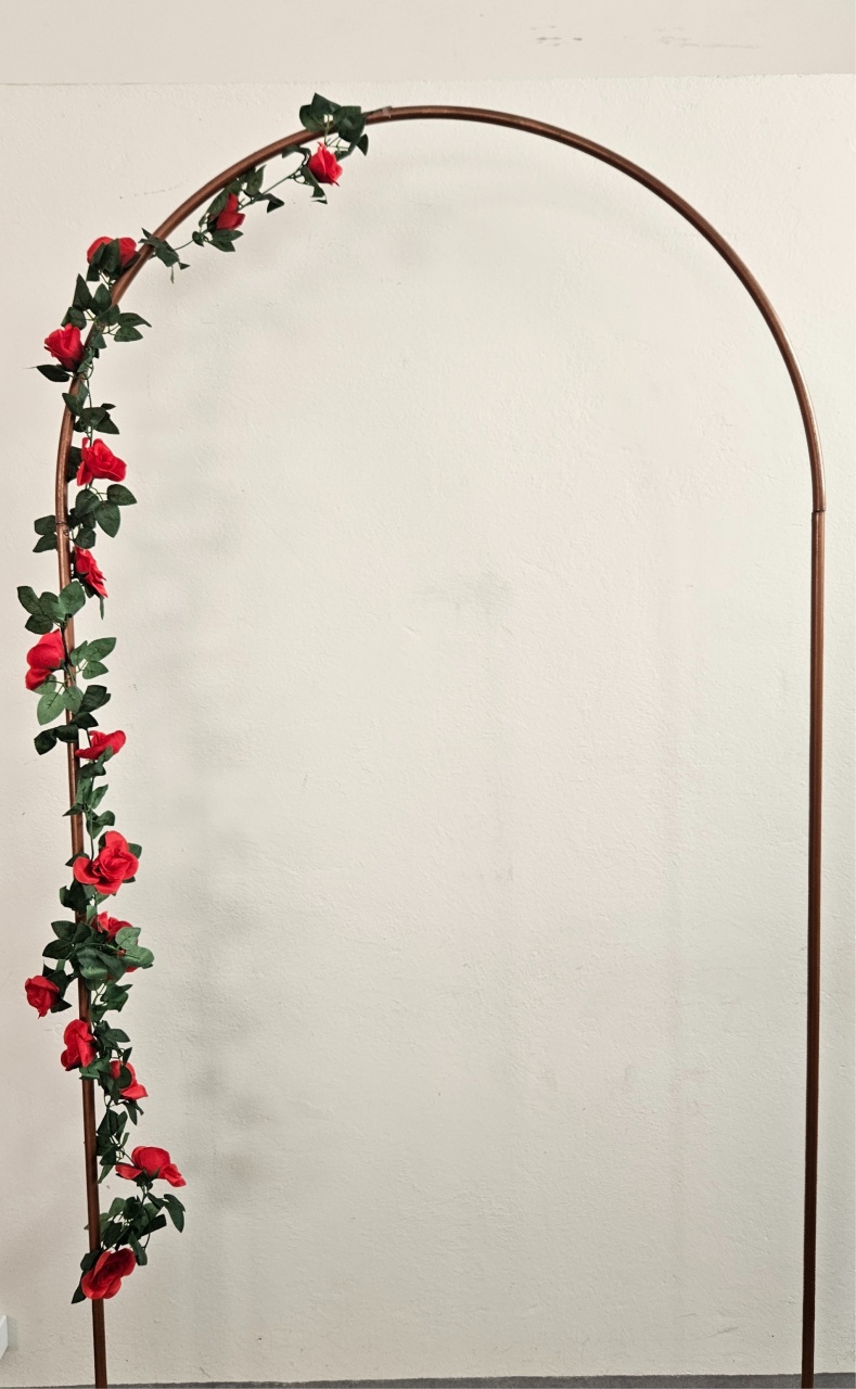 Cordão de Rosas - feste_se_peguemonte