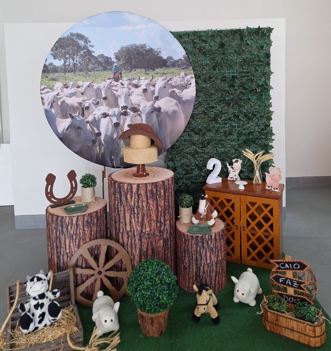 Kit Boiada (Fazenda, Country, Campo) - feste_se_peguemonte