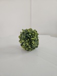 Bucho Pp 12Cm (Buchinho) - imagem 1