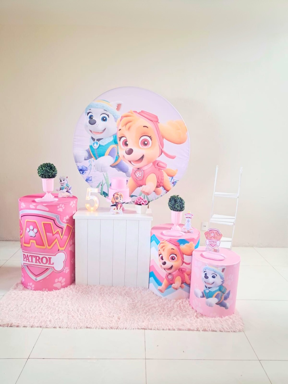 Kit Patrulha Canina - Menina - Luxo   - comdecoracaofestas