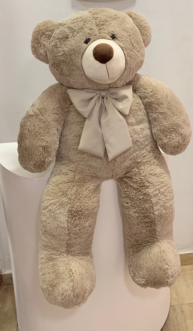 Urso Grande  - Fernanda da Silveira Cavalheiro 
