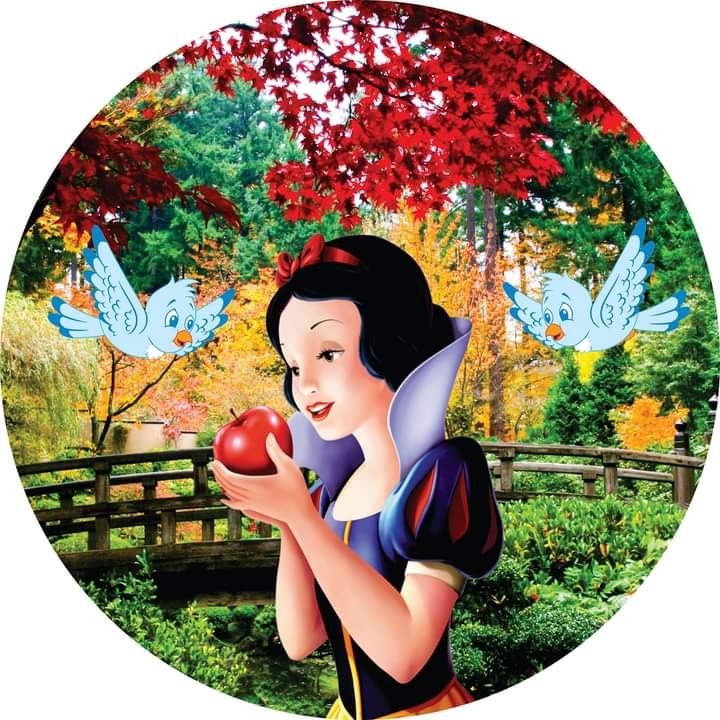 Branca de Neve - Festa Design 