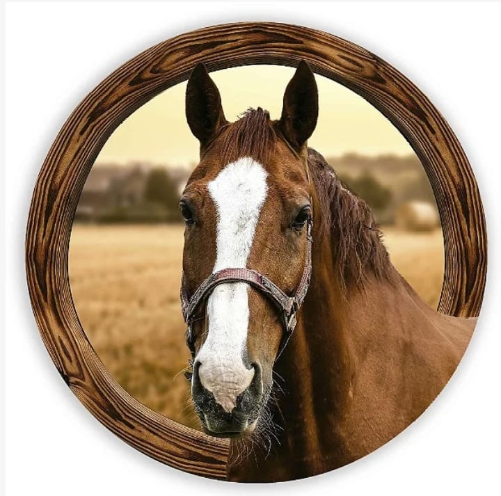 Cavalo  - Festa Design 