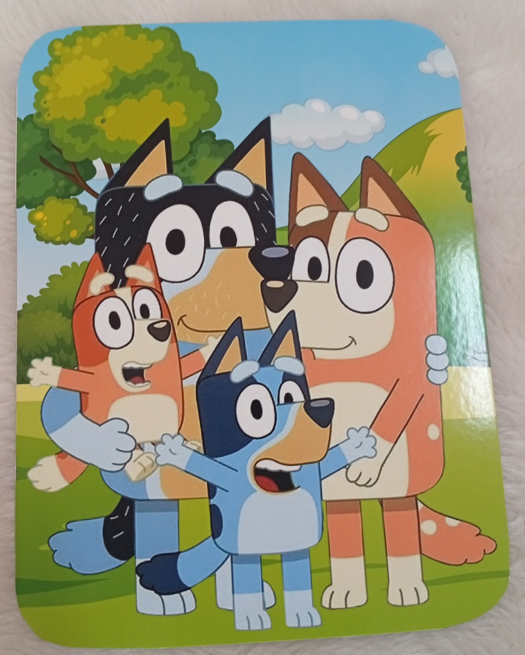 Display Ps - Bluey Mod5 - Três Marias Festas