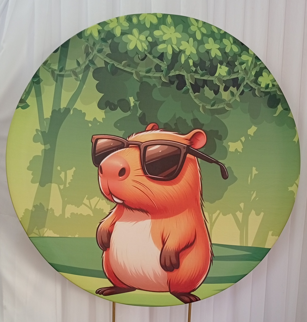 Painel Sublimado Capivara Menino - Três Marias Festas